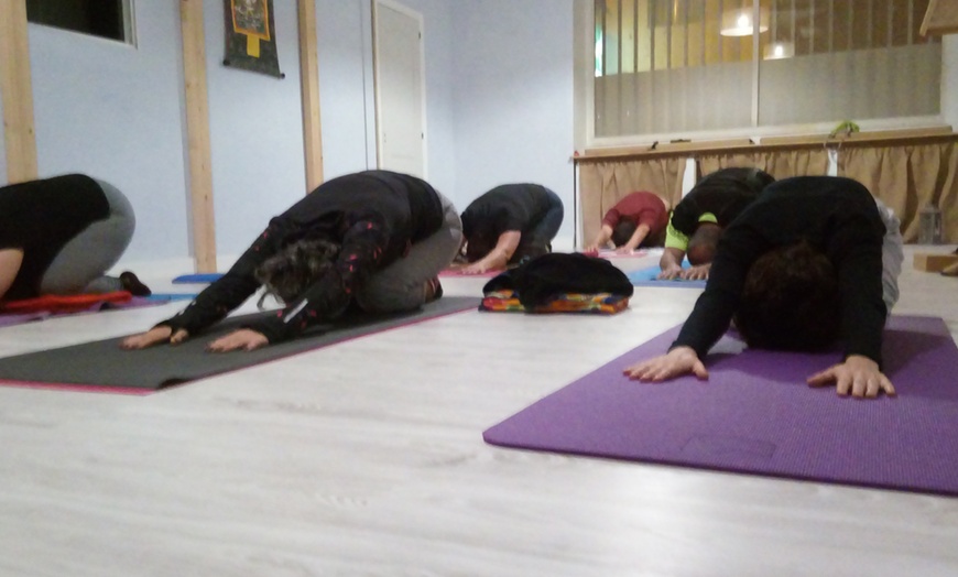 Image 2: Clases de yoga de 75 minutos en Yoga Integral Canarias