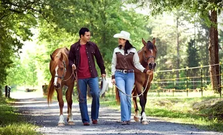 One-Hour Horseback-Riding Lesson for One or Two at Miracle Hills Ranch & Stables in Fort Calhoun - Primary Image
