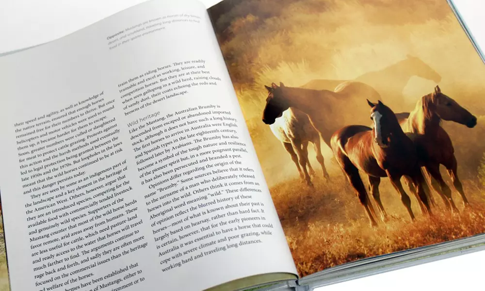 Beautiful Horse Coffee Table Book - Second Medium