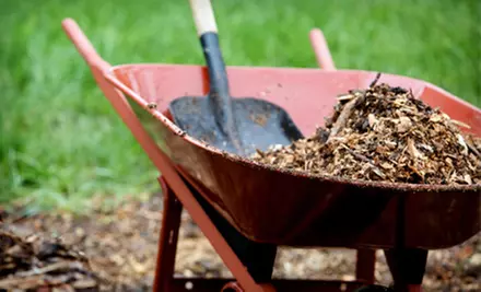 $25 for $55 Worth of Landscaping Products from Maurice Yelle Ltd. - Primary Image