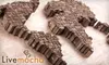$10 for a One-Month Online Language Course from Livemocha ($20 Value). Choose from Four Options.