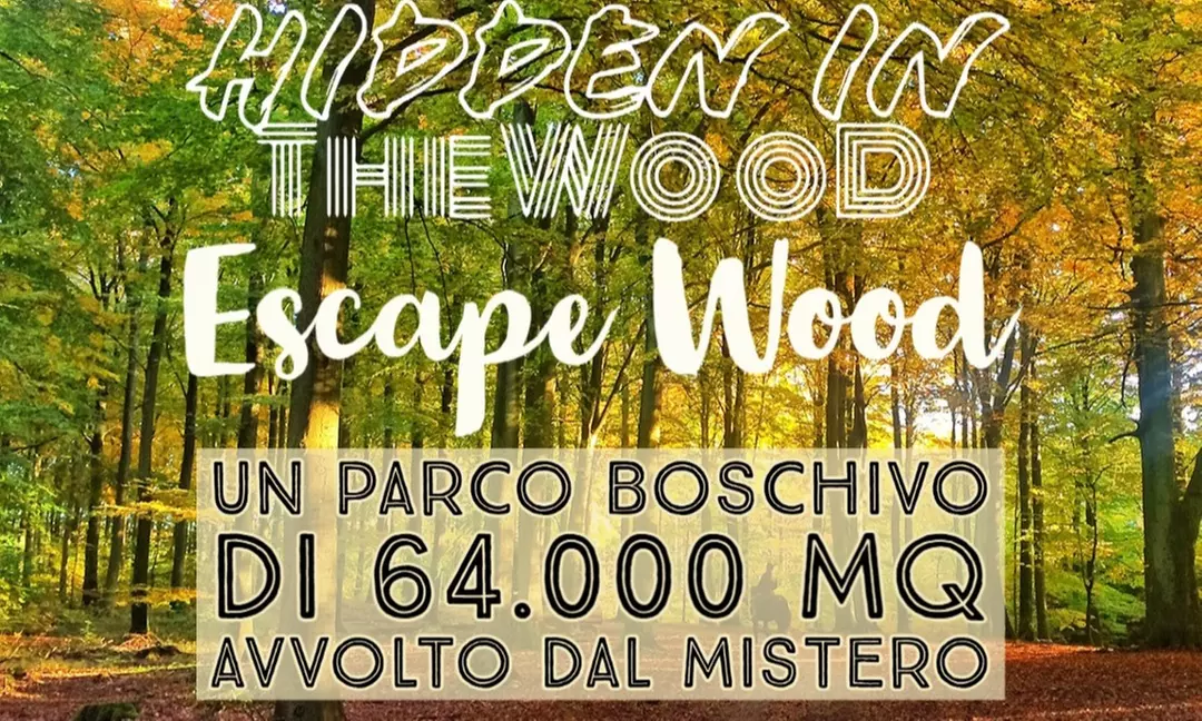 Fino al 20% di sconto su Giochi di Fuga da una Stanza da Hidden in The Wood - Escape Wood & Horror Survival - Primary Image