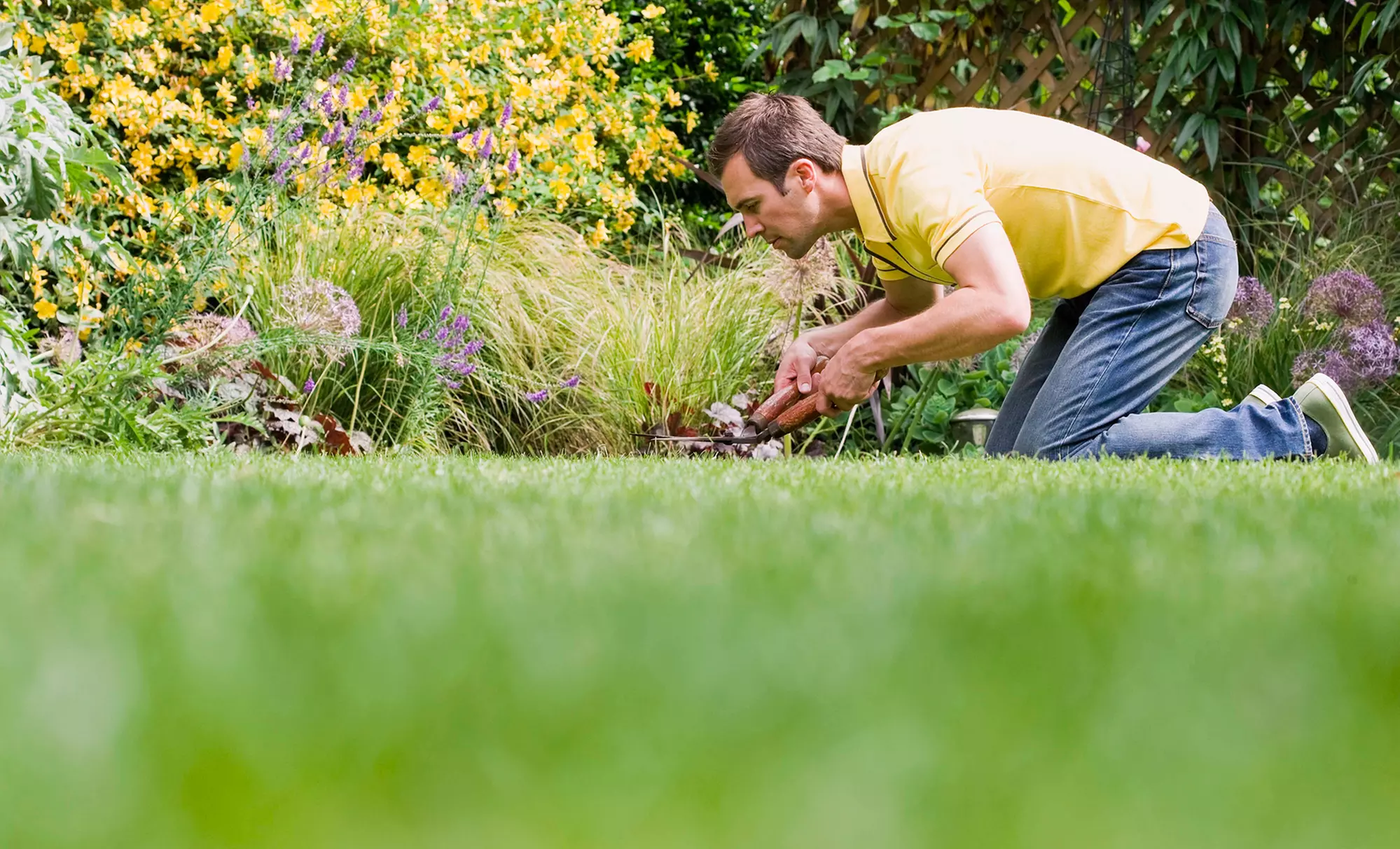 Get More from Your Garden with a $75 Credit