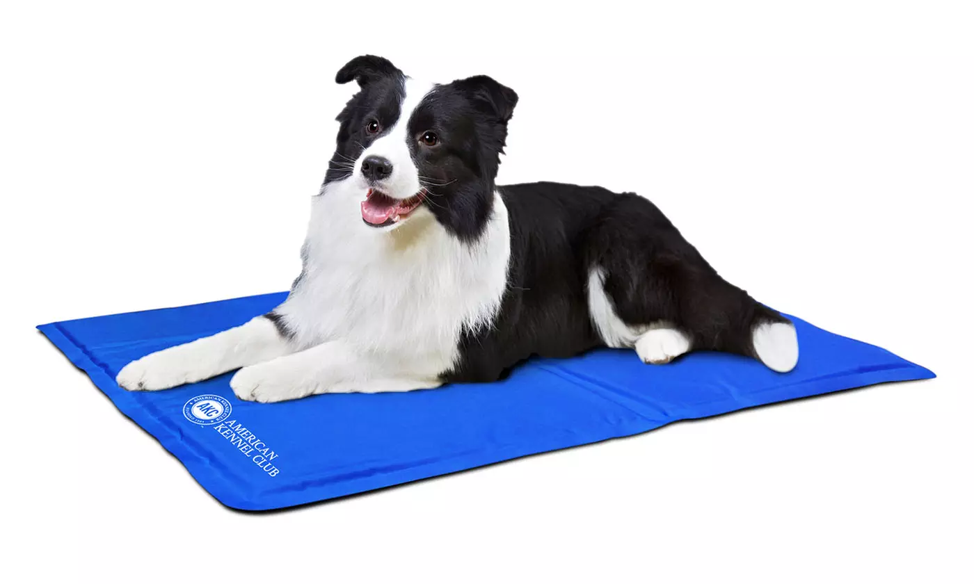 American Kennel Club Cooling Mat - Second Medium