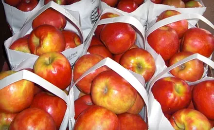 $10 for $20 Worth of Local, Organic Produce at Moms Country Orchards in Oak Glen - Primary Image