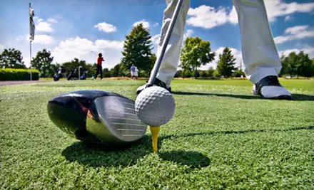 $69 for Two Private Lessons with Doug Curtiss at Hermitage Golf Course Teaching Center in Old Hickory (Up to $150 Value) - Primary Image