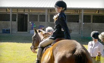 Private Horse Riding Lessons at Hidden Lark Farm. Choose Between Two Options. - Primary Image
