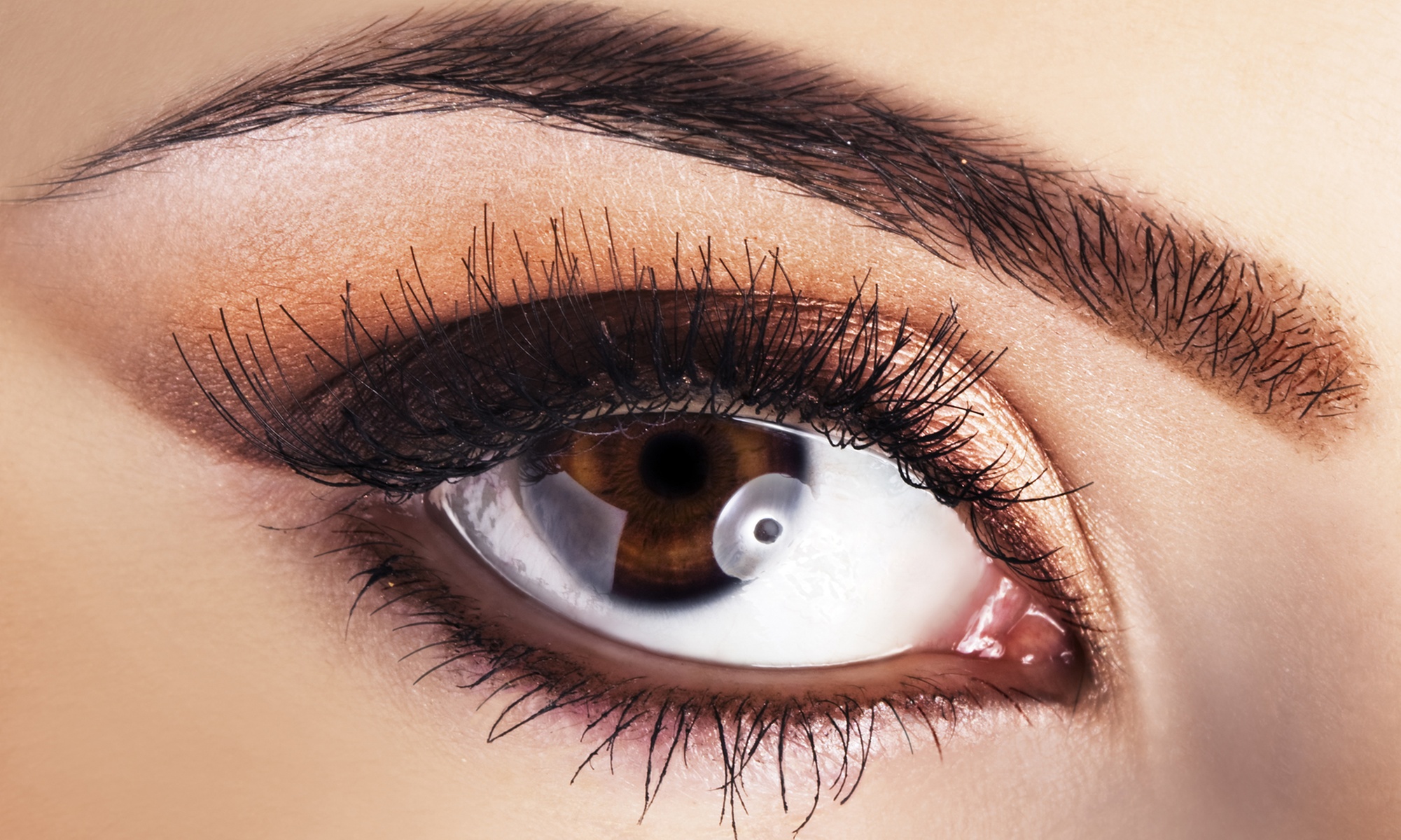 51% Off Eyelash Extensions and Brow Shaping 