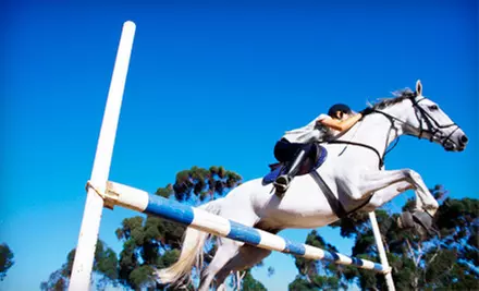 $30 for a Group Horseback-Riding Lesson at Providence Equestrian Center in Waxhaw ($65 Value) - Primary Image