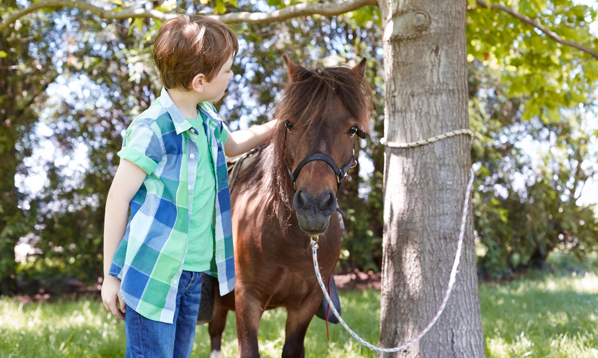 Interactive farm tours for one, two, four, or six people