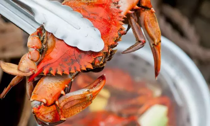 Steamed Maryland Blue Crab, Jumbo Shrimp, and Other Seafood from Harbour House Crabs (Up to 42% Off) - Second Medium