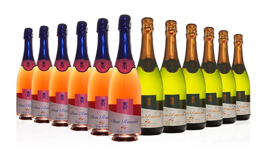 Image 1: 12 Bottles of Cava Brut