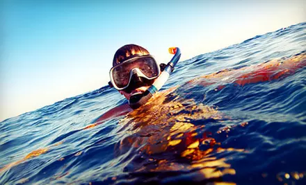 High-Speed Boat Tour and Sea-Life Snorkeling Adventure for Two or Four with Custom Charters (Up to 70% Off) - Second Medium