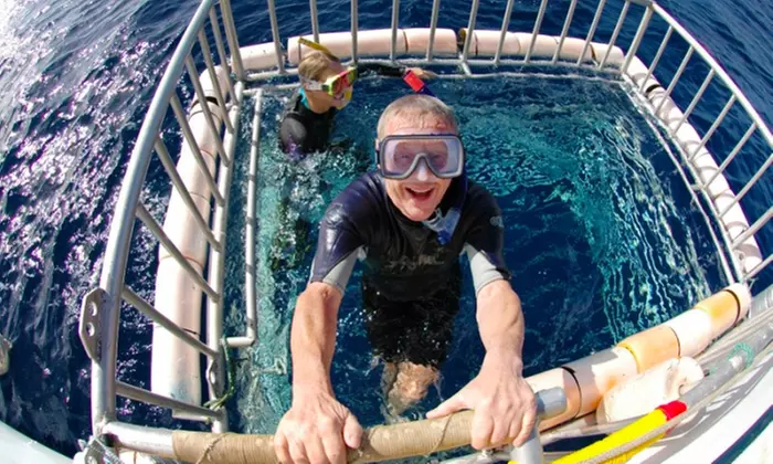 Witness & Dive with Galapagos, Sandbar, & Tiger Sharks in Oahu’s Coast