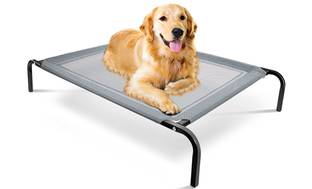 image for Elevated Steel-Framed Comfort Pet Bed