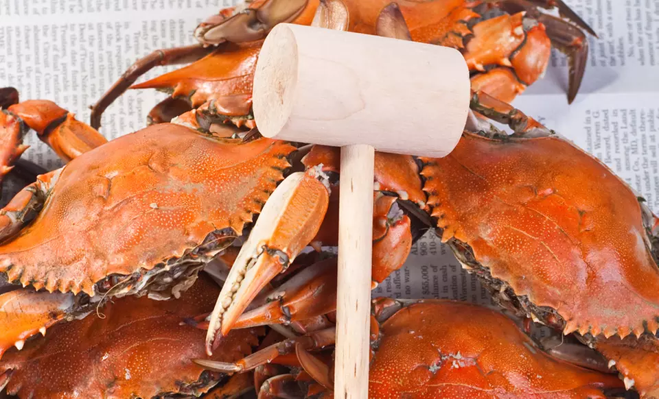 Maryland Blue Crab Summer Seafood Bundles from Blue Crab Trading. Multiple Bundles Available from $39.99–$119.99. - Primary Image