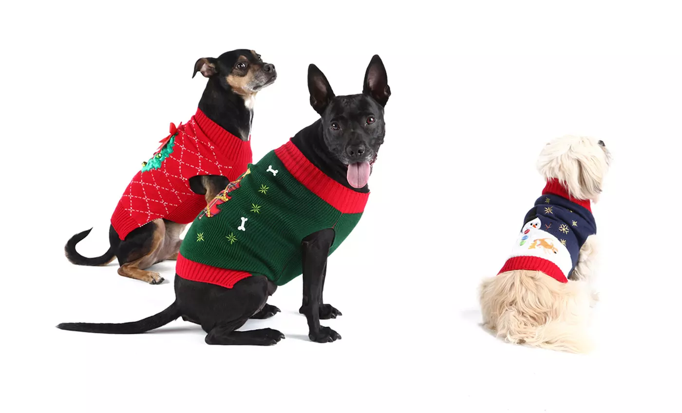 Christmas Clearance: Dog Ugly Holiday Sweater  - Primary Image