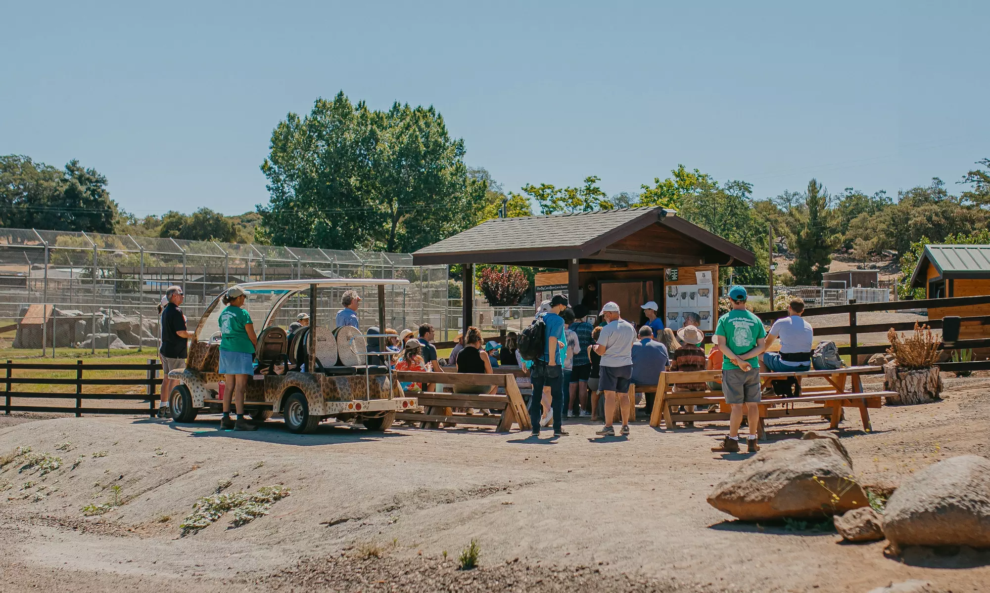 Feed a Wild One Experience (Rescued Big Cat or Bear) at Lions, Tigers & Bears (Up to 35% Off) - Second Medium