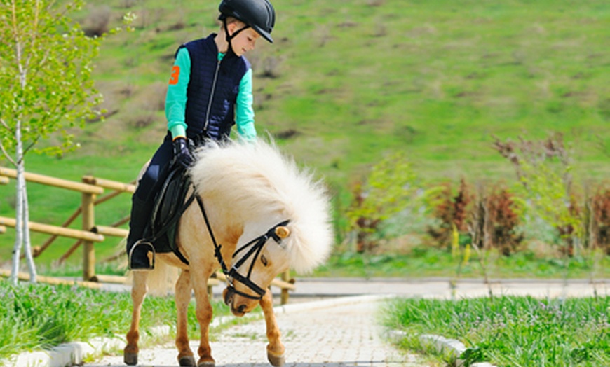 Image 1: Pony Experience For £19