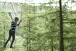 Gorillas' or Baboons' Tree Top Adventures at Go Ape, 29 Locations - Image 2