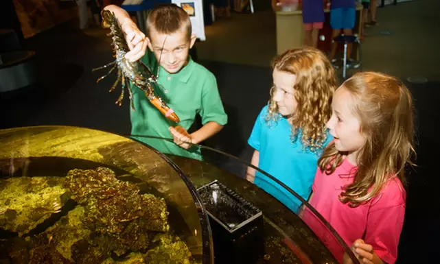 Family Admission with 3D-Movie Tickets for Two or Four at Connecticut Science Center (Up to 22% Off) - Second Medium