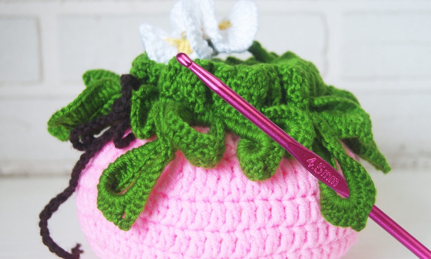 Image 10: 22-Piece Crochet Set