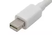 1x, 2x, 3x oder 5x DisplayPort / Thunderbolt HDMI-Adapter - Second Medium