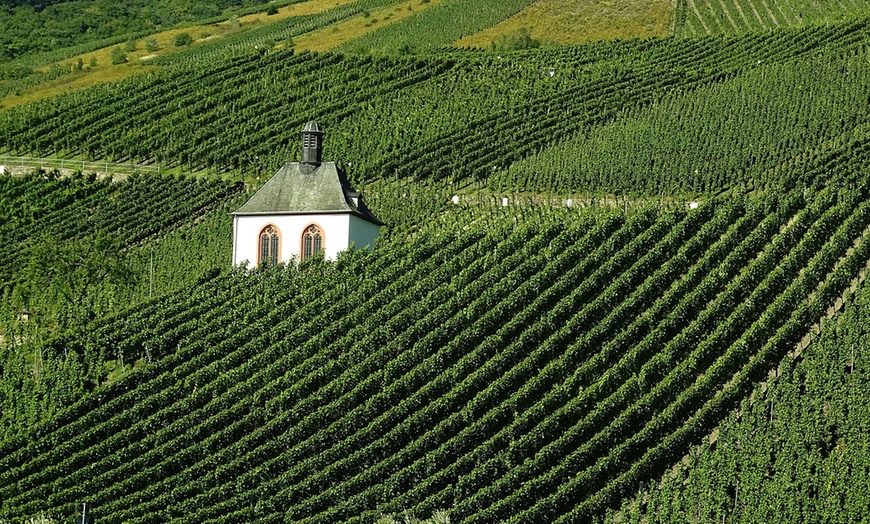 Image 17: Bernkastel-Kues: 2-5 Nächte mit Frühstück und Weinverkostung