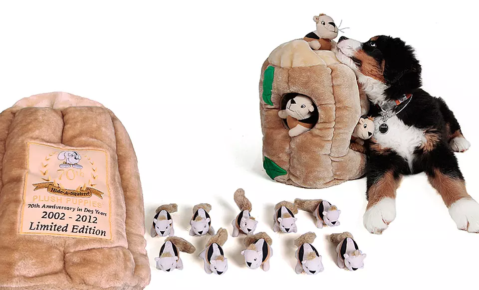 Kyjen Hide-A-Squirrel Dog Toy. Free Returns. - Second Medium