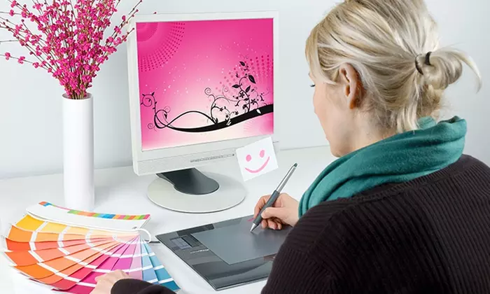 Logo or Website Graphic-Design Package from Pink Zebra (Up to 94% Off). Four Options Available. - Primary Image