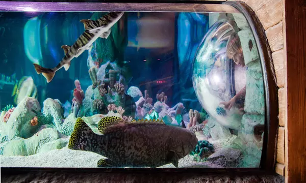 Admission To Sea Life At Mall Of America 