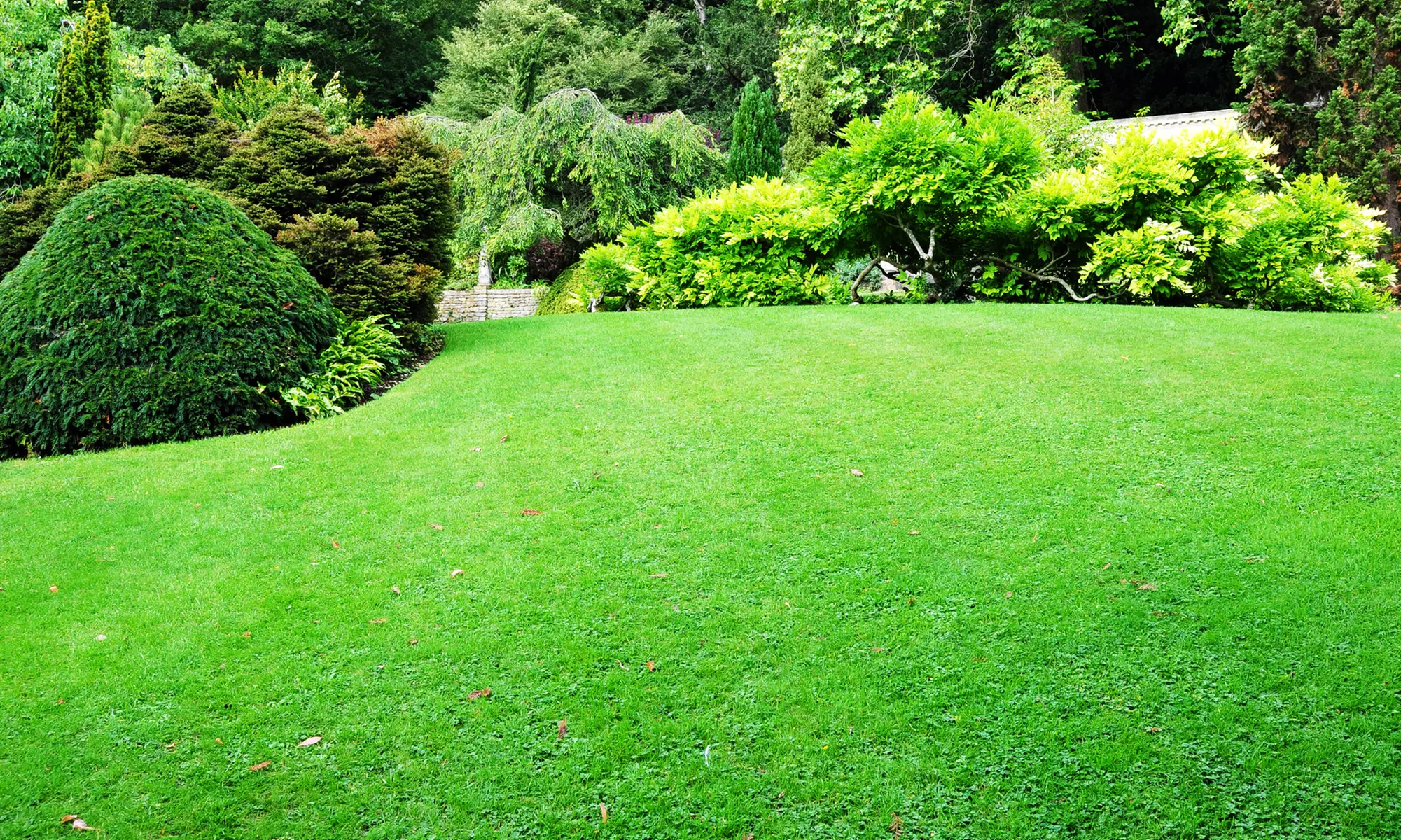 Landscaping Services from MMM Landscape Services (50% Off). Two Options Available. - Primary Image
