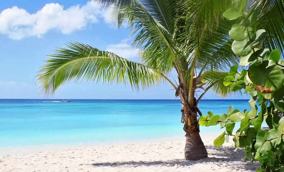 5-Night All-Inclusive Vacation with Airfare. Price/person Based on Double Occupancy. Includes Taxes & Fees  - Primary Image