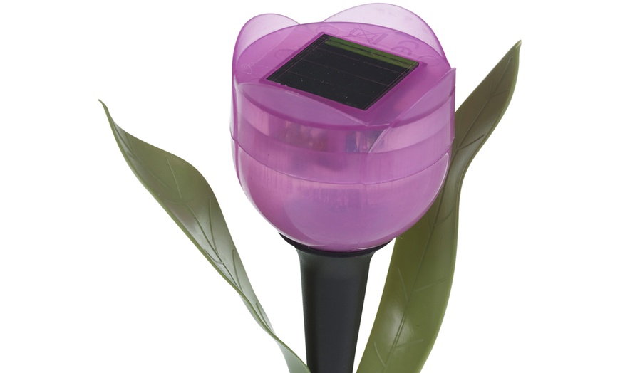 Image 5: Set of 6 or 12 Tulip-Shaped Garden Solar Lights