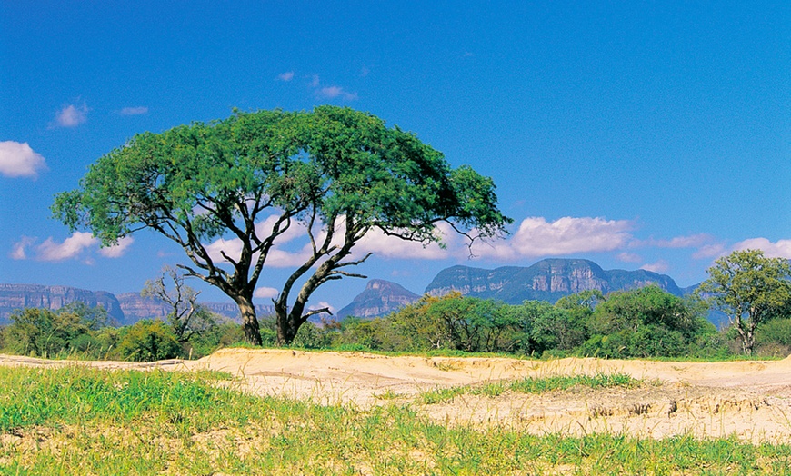 Image 6: South Africa: Up to 7-Night 5* All-Inclusive Safari