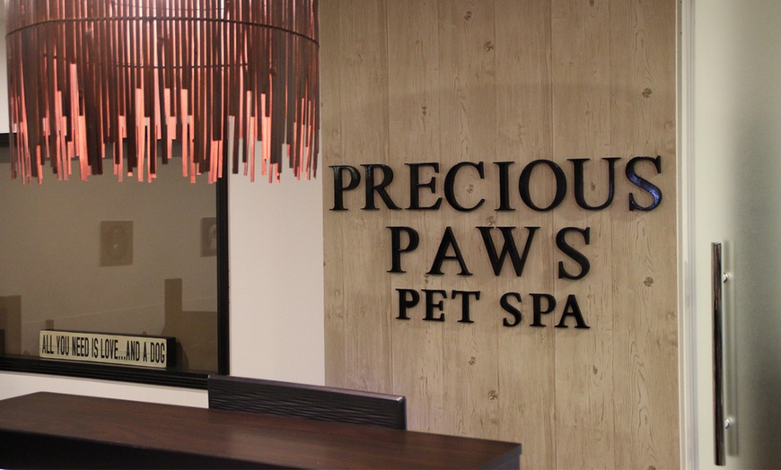 Image 6: Pet Grooming Package