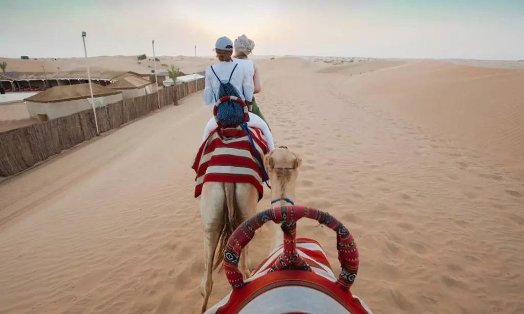 Platinum Desert Safari