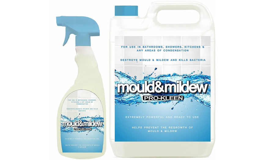 Image 1: Mould and Mildew Remover 5L 