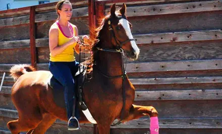 Private or Group Horseback-Riding Lessons at Longview Stables and Riding Academy in Aurora (Up to 53% Off) - Primary Image