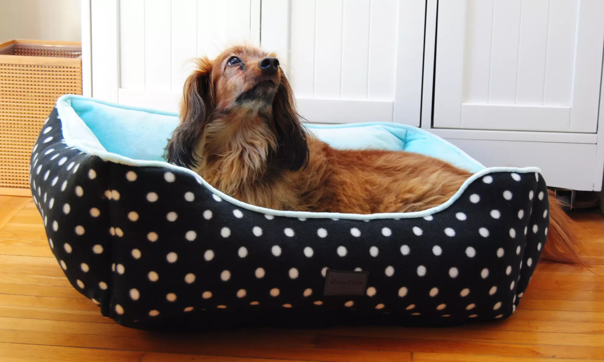 Polka Dots Couch Bed for Dogs - Primary Image