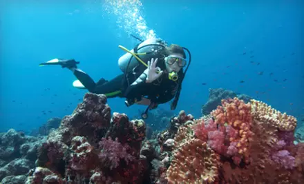 Two-Hour Intro to Scuba Diving or Open Water Certification at GirlDiver (Up to 58% Off). Three Options Available. - Primary Image