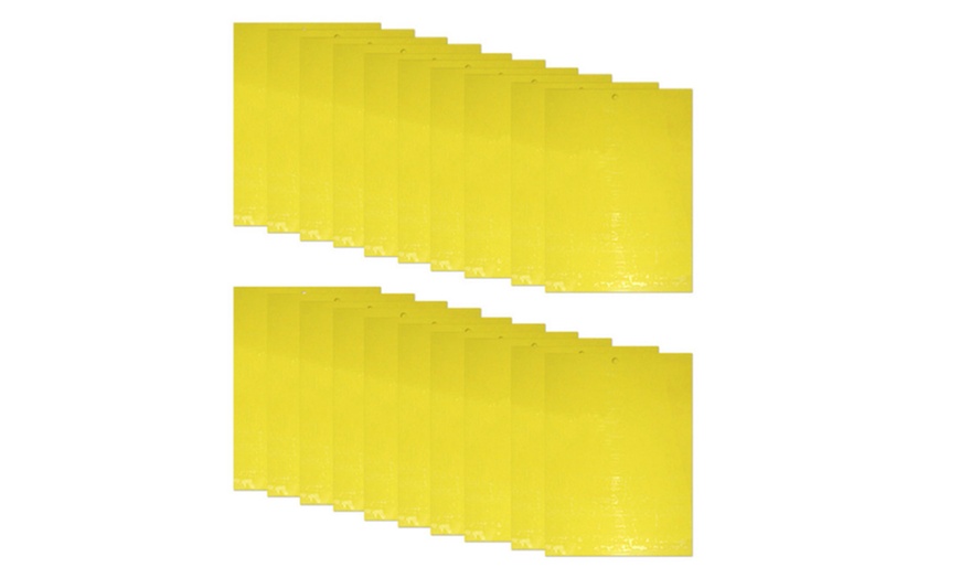 Image 8: Dual-Sided Yellow Sticky Traps