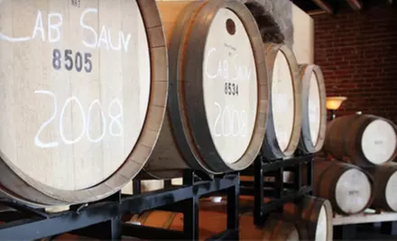 $30 for Four Glasses of Wine and One Take-Home Bottle at Silver Vines Winery (Up to $61.99 Value) - Primary Image