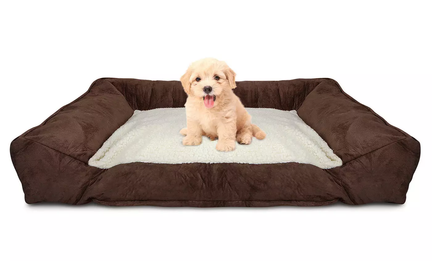 Animal Planet Memory Foam Pet Lounger - Second Medium