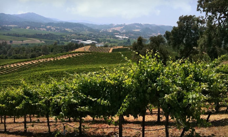 Winery Tour | Groupon