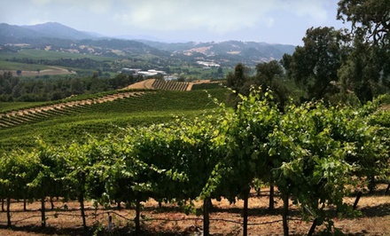 Winery Tour | Groupon