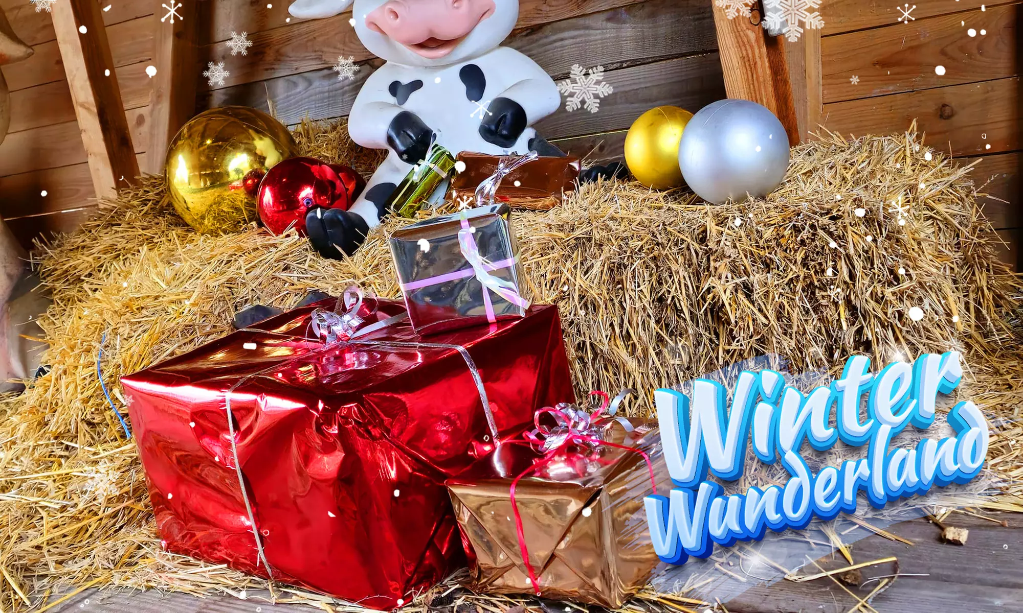 Tageskarte für das Winterwunderland im Freizeitland Geiselwind