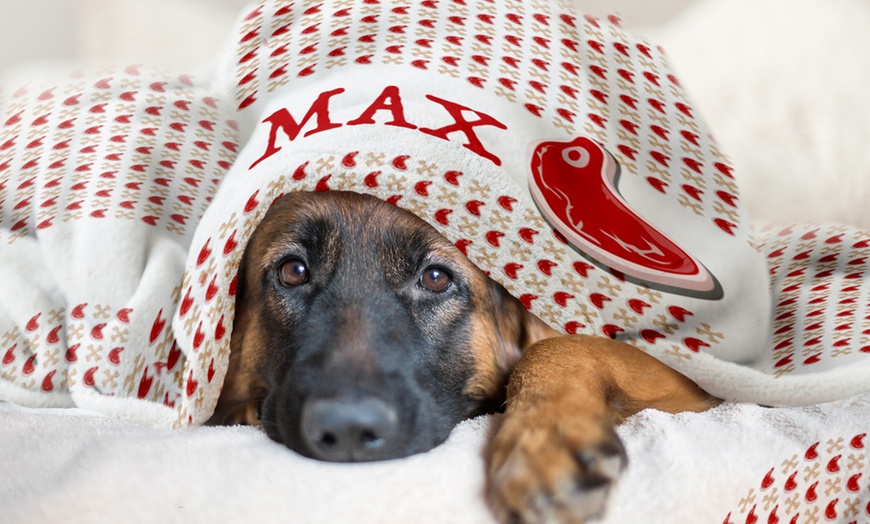 Image 2: Personalised Fleece Dog Blanket from Printerpix