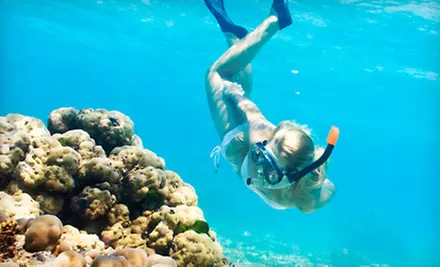 $150 for PADI Open Water Certification Course and Manual at The Scuba Shack ($299 Value) - Primary Image
