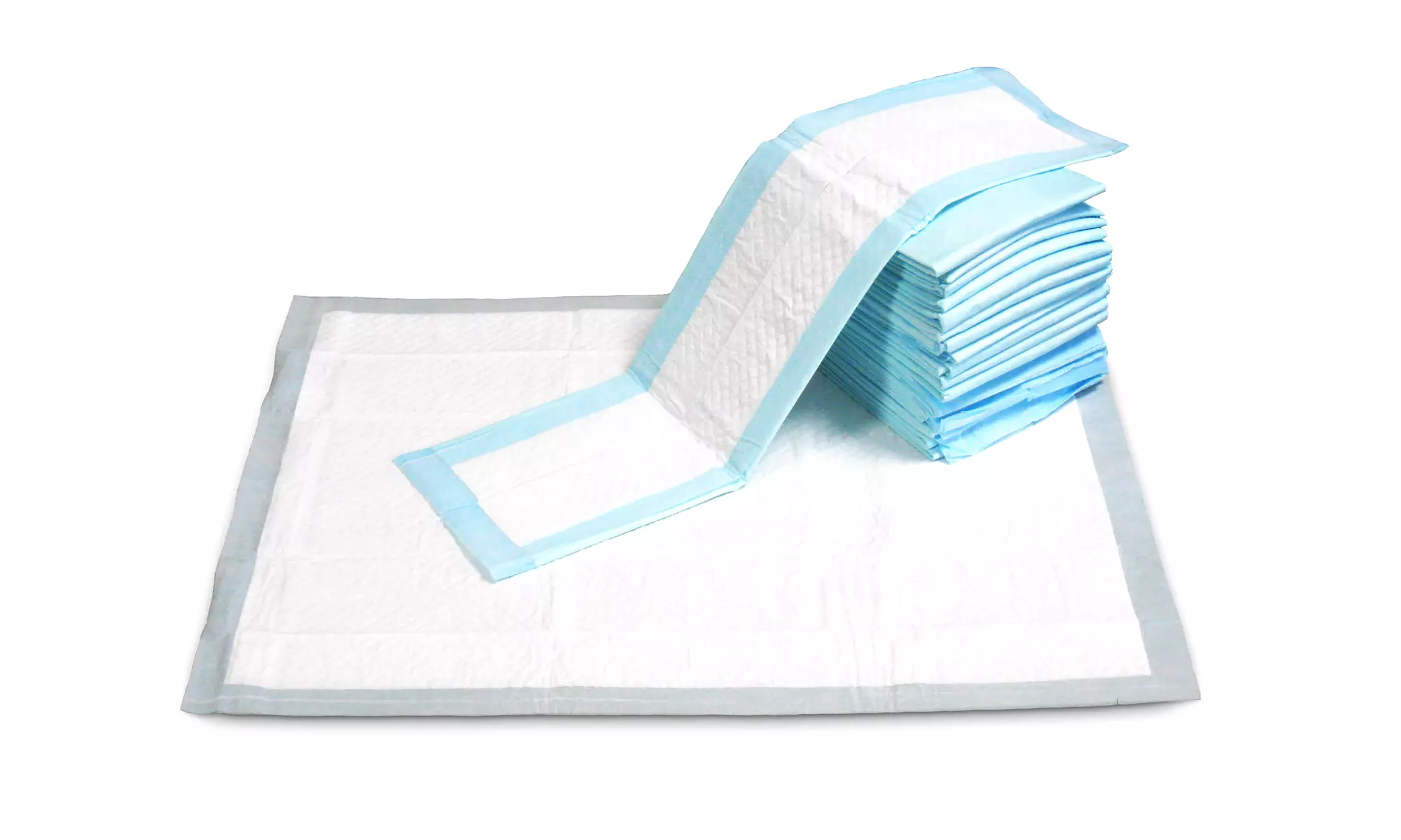 Go Pet Club Blue Puppy Training Pads (100-600 ct.) - Primary Image